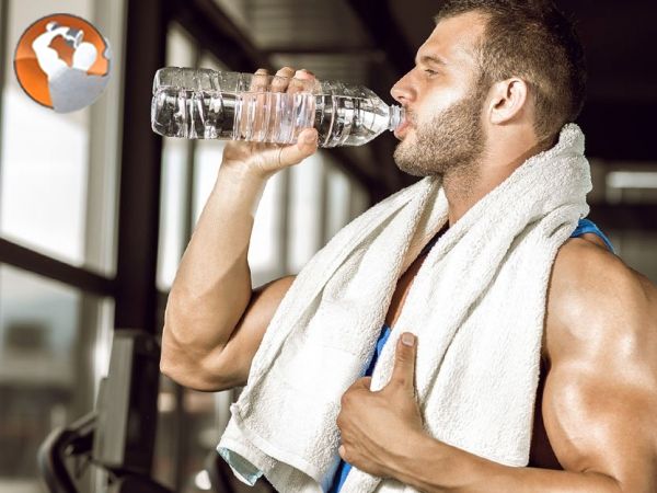 Mô hình tháp dinh dưỡng cho người tập thể hình tốt nhất Mô hình tháp dinh dưỡng cho người tập thể hình tốt nhất