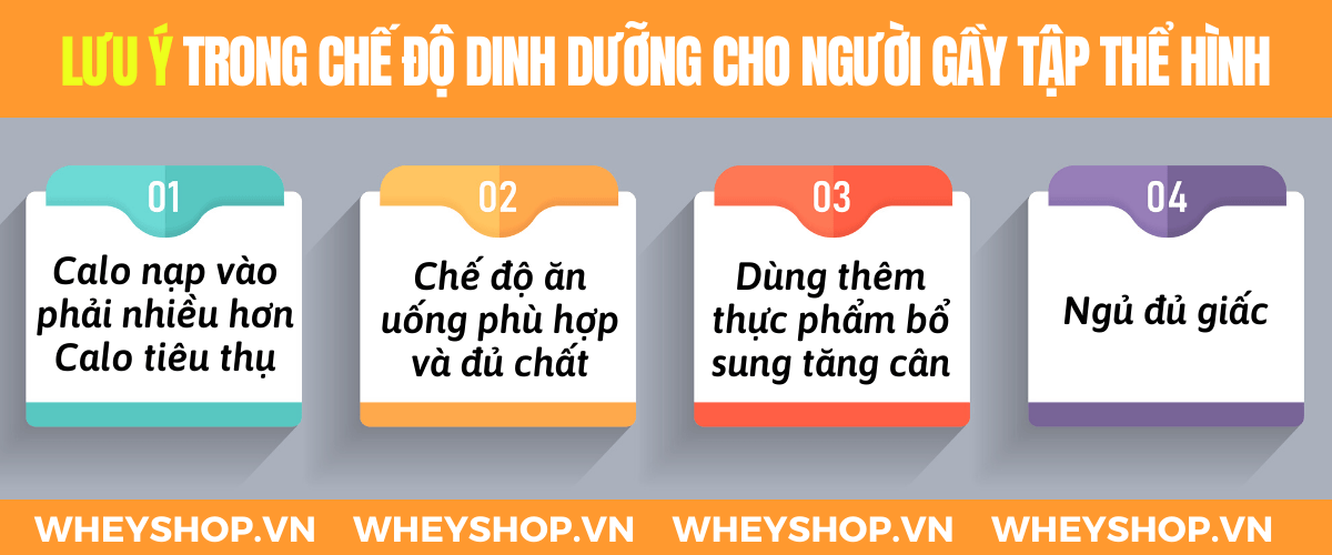 Nếu bạn đang băn khoăn tìm hiểu thể hình cho người gầy tăng cân thì hãy cùng WheyShop tham khảo chi tiết bài viết...