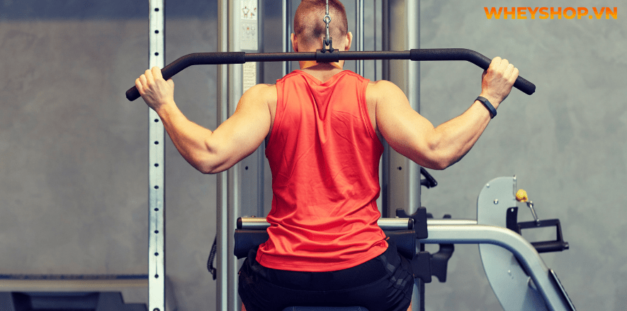 Nếu bạn đang băn khoăn không biết thịt bò kỵ gì thì hãy cùng WheyShop tham khảo ngay 10 loại thực phẩm không nên nấu với thịt bò qua bài...