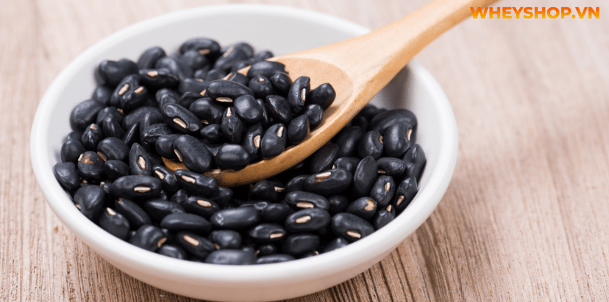 Nếu bạn đang băn khoăn không biết thịt bò kỵ gì thì hãy cùng WheyShop tham khảo ngay 10 loại thực phẩm không nên nấu với thịt bò qua bài...