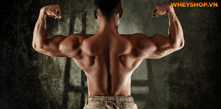 Nếu bạn đang băn khoăn không biết thịt bò kỵ gì thì hãy cùng WheyShop tham khảo ngay 10 loại thực phẩm không nên nấu với thịt bò qua bài...