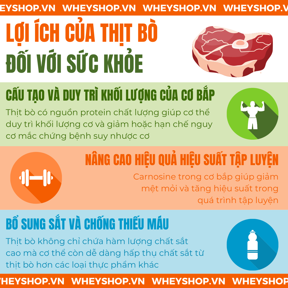 Nếu bạn đang băn khoăn không biết thịt bò kỵ gì thì hãy cùng WheyShop tham khảo ngay 10 loại thực phẩm không nên nấu với thịt bò qua bài...
