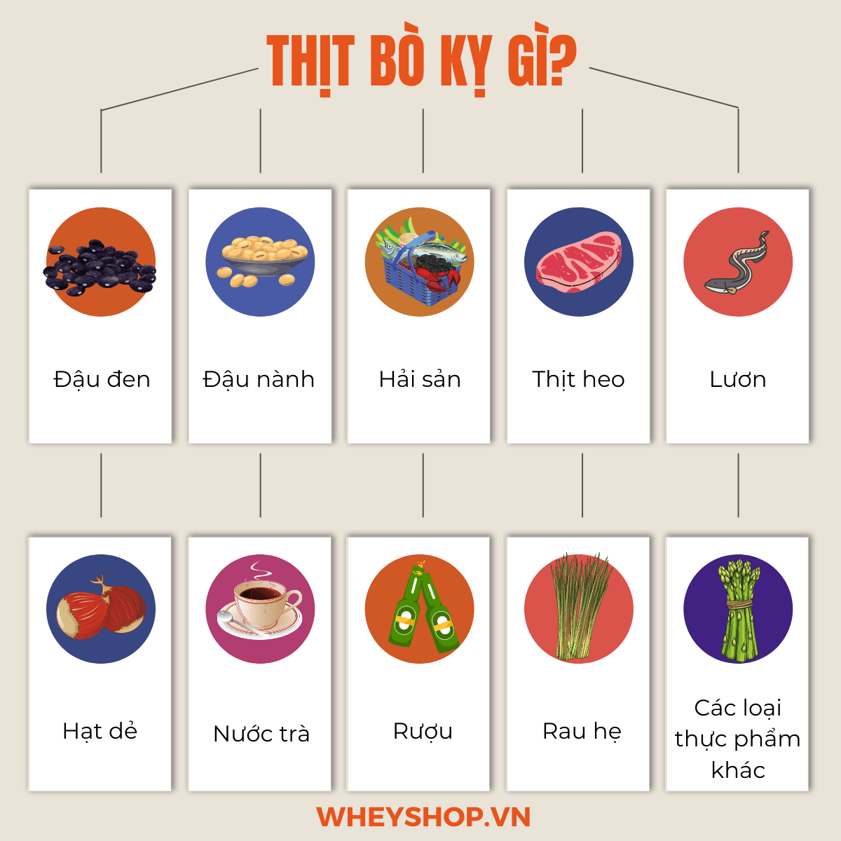 Nếu bạn đang băn khoăn không biết thịt bò kỵ gì thì hãy cùng WheyShop tham khảo ngay 10 loại thực phẩm không nên nấu với thịt bò qua bài...