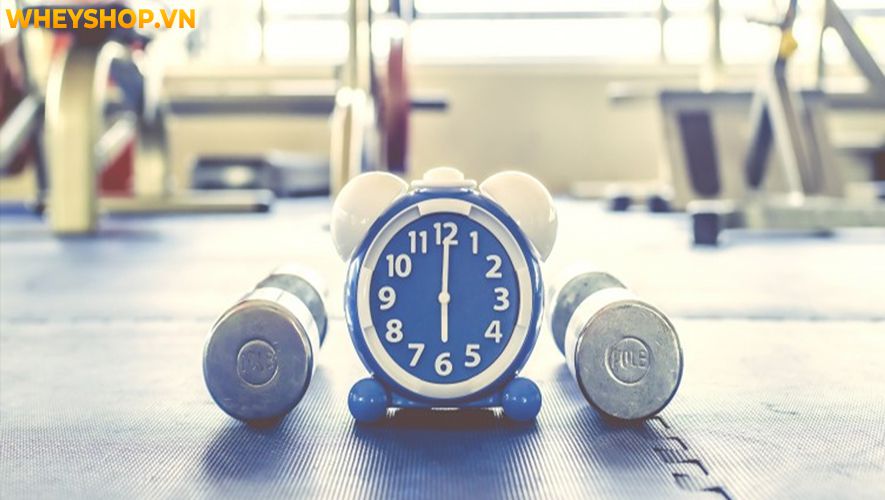 Lợi ích của việc tập thể dục có thể cải thiện gần như mọi khía cạnh sức khoẻ từ trong ra ngoài. Bài viết dưới đây WheyShop sẽ giúp bạn tìm hiểu rõ hơn lợi...