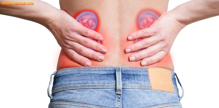 Thông tin "Whey Rule 1 ung thư" đã và đang làm cộng đồng Gymer chao đảo, lo lắng. Cùng WheyShop kiểm chứng thông tin Whey Rule 1 ung thư....