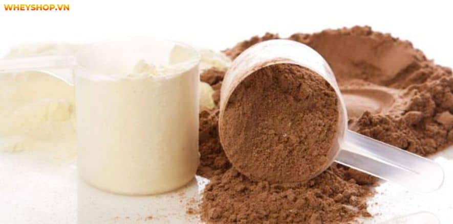 Thông tin "Whey Rule 1 ung thư" đã và đang làm cộng đồng Gymer chao đảo, lo lắng. Cùng WheyShop kiểm chứng thông tin Whey Rule 1 ung thư....