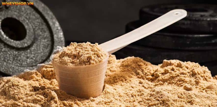 Thông tin "Whey Rule 1 ung thư" đã và đang làm cộng đồng Gymer chao đảo, lo lắng. Cùng WheyShop kiểm chứng thông tin Whey Rule 1 ung thư....