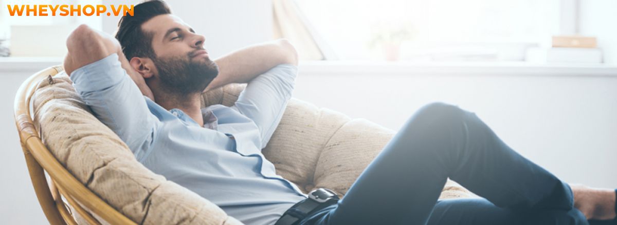 Nhảy dây có giảm cân không luôn là băn khoăn thắc mắc của nhiều người. Hãy cùng WheyShop tìm hiểu chi tiết qua bài viết ngay sau đây,...