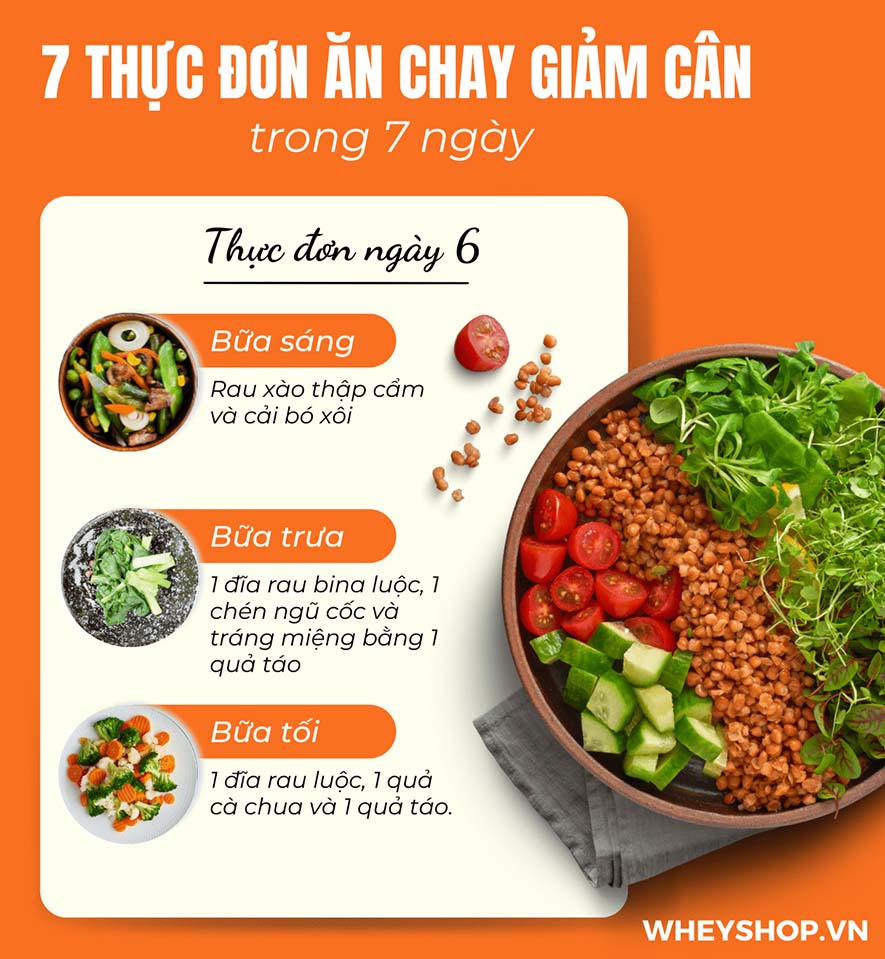 Nếu bạn đang băn khoăn tìm cách giảm 3kg trong 1 tuần thì hãy cùng WheyShop tham khảo chi tiết bài viết ngay sau đây để cùng...