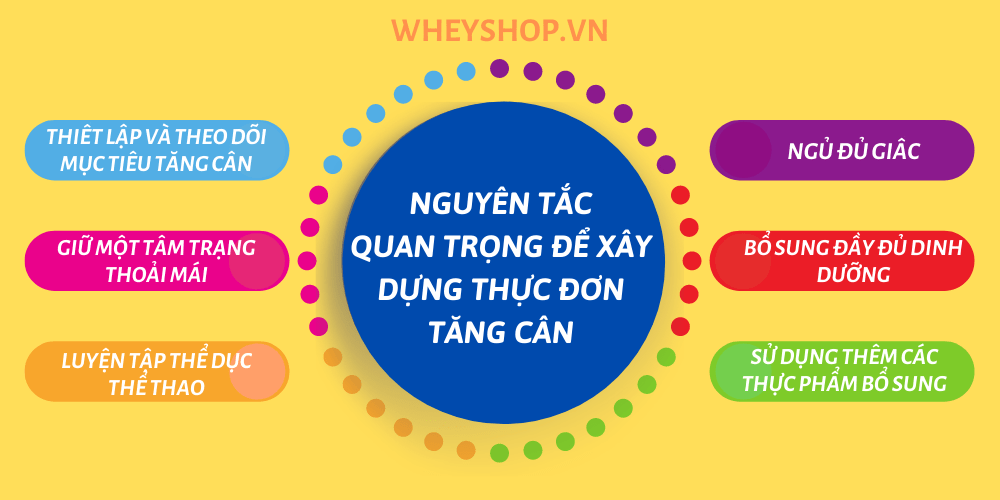Bật mí 7 thực đơn tăng cân cho nam nữ, người gầy khó hấp thu dinh dưỡng cải thiện cân nặng tự nhiên, bền vững qua bài viết...