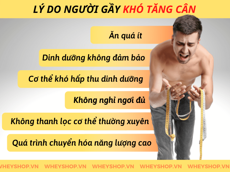 Bật mí 7 thực đơn tăng cân cho nam nữ, người gầy khó hấp thu dinh dưỡng cải thiện cân nặng tự nhiên, bền vững qua bài viết...