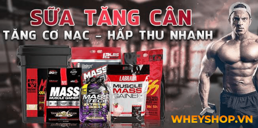 Bật mí 7 thực đơn tăng cân cho nam nữ, người gầy khó hấp thu dinh dưỡng cải thiện cân nặng tự nhiên, bền vững qua bài viết...