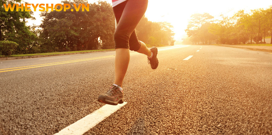 Bật mí 7 thực đơn tăng cân cho nam nữ, người gầy khó hấp thu dinh dưỡng cải thiện cân nặng tự nhiên, bền vững qua bài viết...