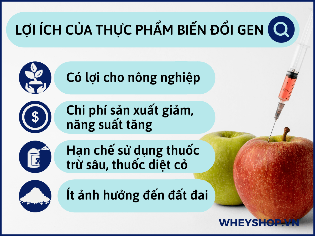 Thực phẩm biến đổi Gen có tốt cho sức khỏe không? Có nên sử dụng thực phẩm biến đổi gen? Hãy cùng WheyShop tìm hiểu chi tiết qua bài viết...