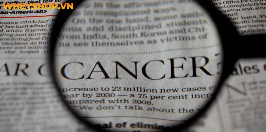 Thực phẩm biến đổi Gen có tốt cho sức khỏe không? Có nên sử dụng thực phẩm biến đổi gen? Hãy cùng WheyShop tìm hiểu chi tiết qua bài viết...