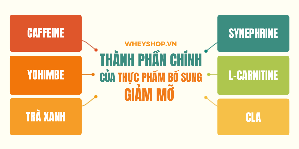 Nếu bạn đang băn khoăn trong việc tìm hiểu thực phẩm bổ sung giảm mỡ có tốt không thì hãy cùng WheyShop tham khảo chi tiết bài viết...