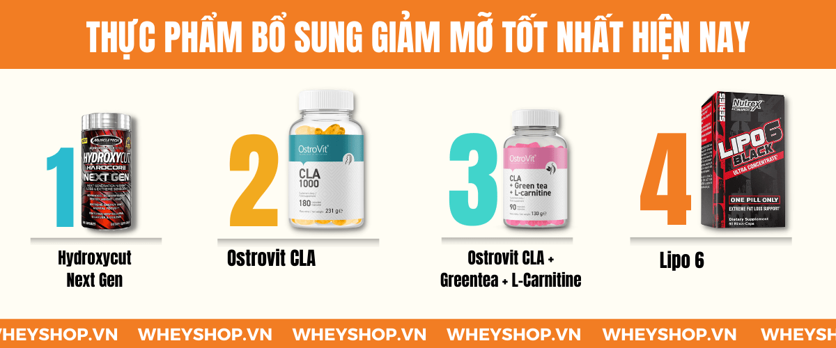 Nếu bạn đang băn khoăn trong việc tìm hiểu thực phẩm bổ sung giảm mỡ có tốt không thì hãy cùng WheyShop tham khảo chi tiết bài viết...