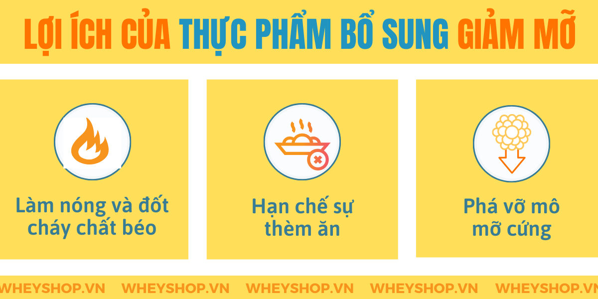 Nếu bạn đang băn khoăn trong việc tìm hiểu thực phẩm bổ sung giảm mỡ có tốt không thì hãy cùng WheyShop tham khảo chi tiết bài viết...