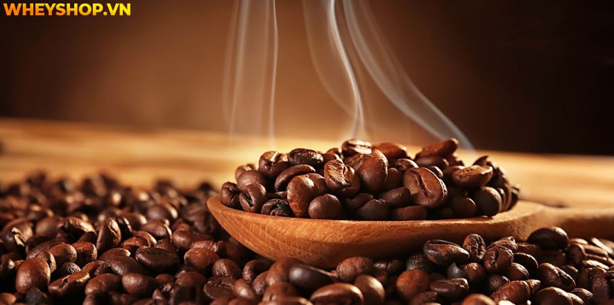Nếu bạn đang băn khoăn trong việc tìm hiểu thực phẩm bổ sung giảm mỡ có tốt không thì hãy cùng WheyShop tham khảo chi tiết bài viết...