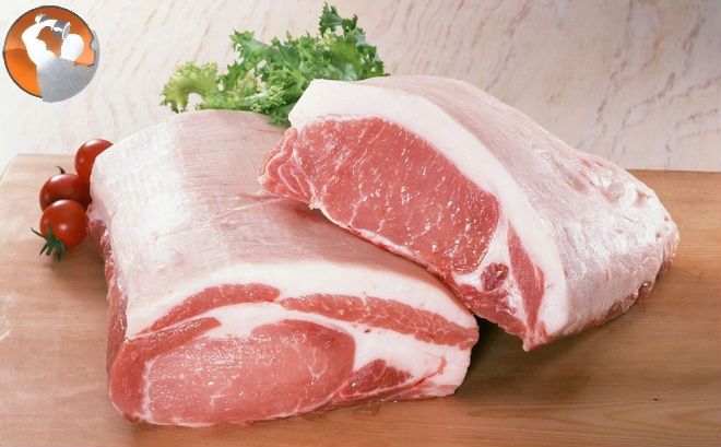 thực phẩm bổ sung protein cho người tập gym thực phẩm bổ sung protein cho người tập gym