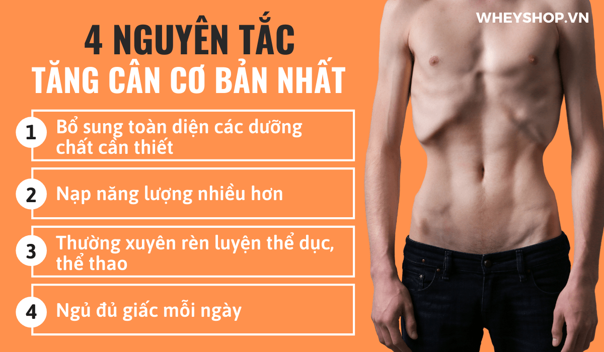 Nếu bạn đang băn khoăn tìm cách tăng cân thì hãy cùng WheyShop tham khảo thực phẩm bổ sung tăng cân cho người gầy...