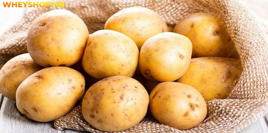 Nếu bạn đang băn khoăn tìm cách tăng cân thì hãy cùng WheyShop tham khảo thực phẩm bổ sung tăng cân cho người gầy...