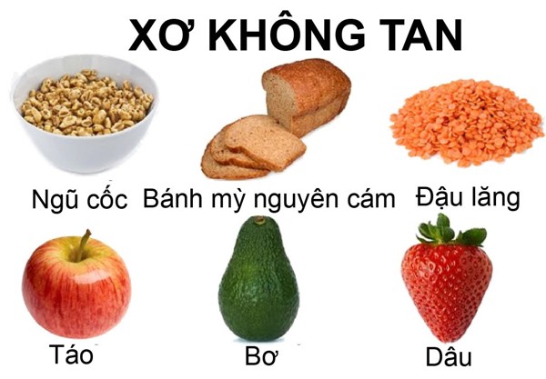 chất xơ không tan là gì