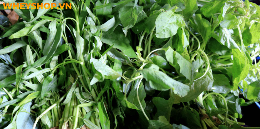 Nếu bạn đang tìm cách chữa rát mặt khi hàn thì hãy cùng WheyShop tham khảo ngay 3 cách đơn giản, dễ dàng thực hiện sau đây nhé...