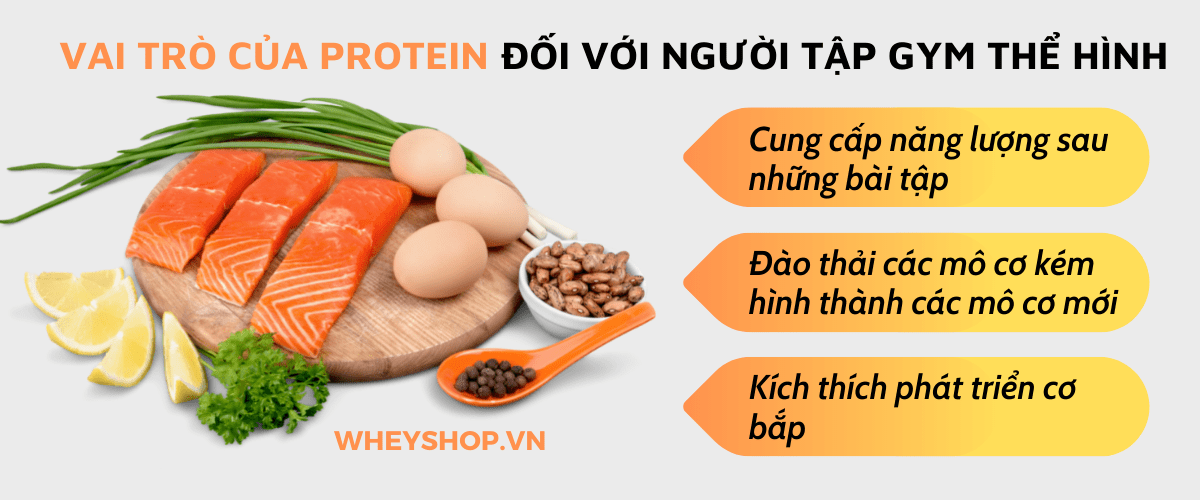 Nếu bạn đang tìm cách chữa rát mặt khi hàn thì hãy cùng WheyShop tham khảo ngay 3 cách đơn giản, dễ dàng thực hiện sau đây nhé...