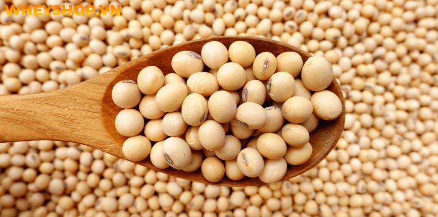 Nếu bạn đang băn khoăn thắc mắc người gầy nên ăn gì để tăng cân thì hãy cùng WheyShop tham khảo chi tiết bài viết ngay sau đây...