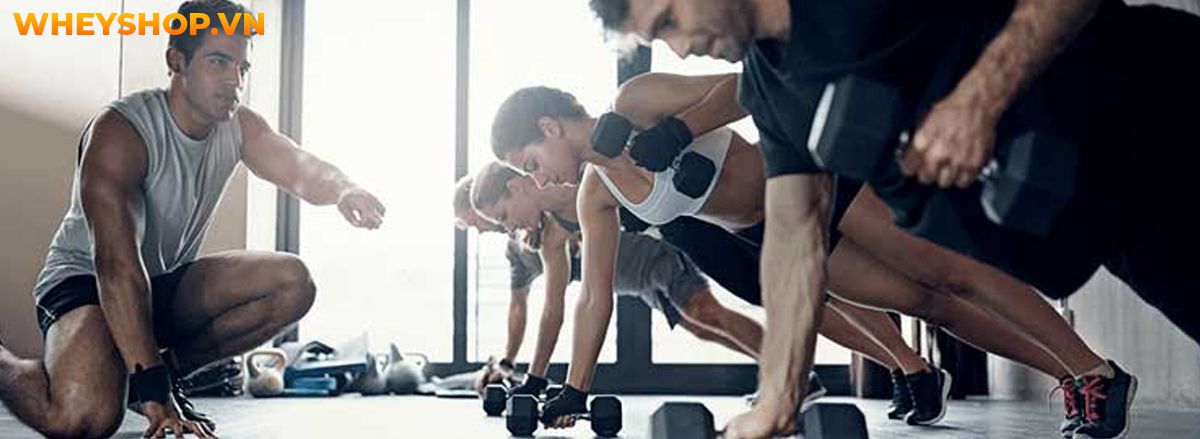 Nếu bạn đang băn khoăn trong việc bắt đầu tập gym nam thì hãy cùng tham khảo cùng WheyShop hướng dẫn tập gym nam cơ bản A-Z ngay nhé..