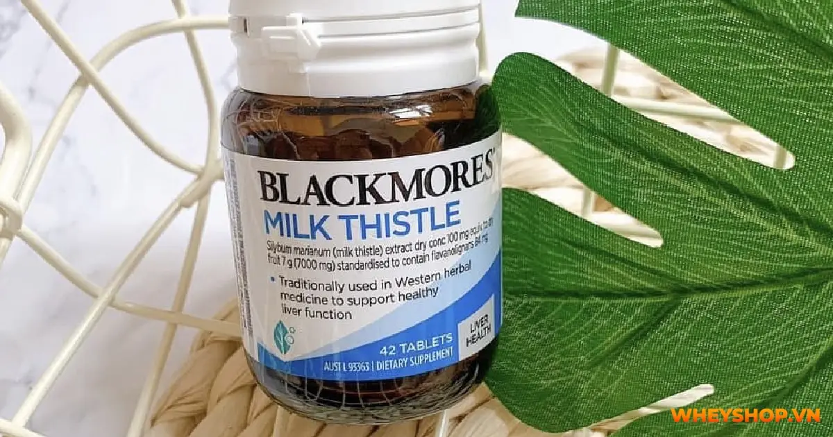 thuoc-bo-gan-milk-thistle-02-min