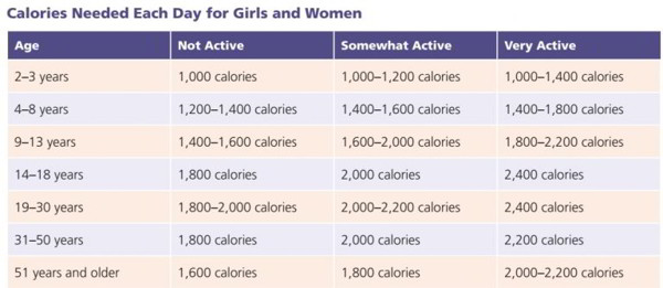 bảng tính calo là gì