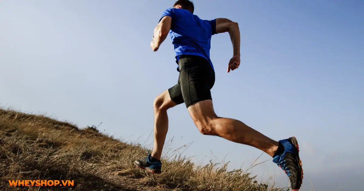 tim-hieu-nguyen-nhan-tai-sao-chay-bo-lai-bi-ngua-03-min