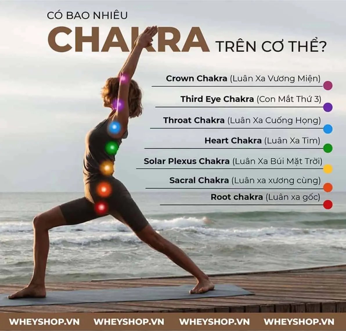 tim-hieu-ve-chakra-la-gi(1)