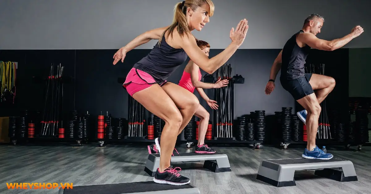 tim-hieu-ve-the-hinh-cho-nguoi-moi-bat-dau-02-min