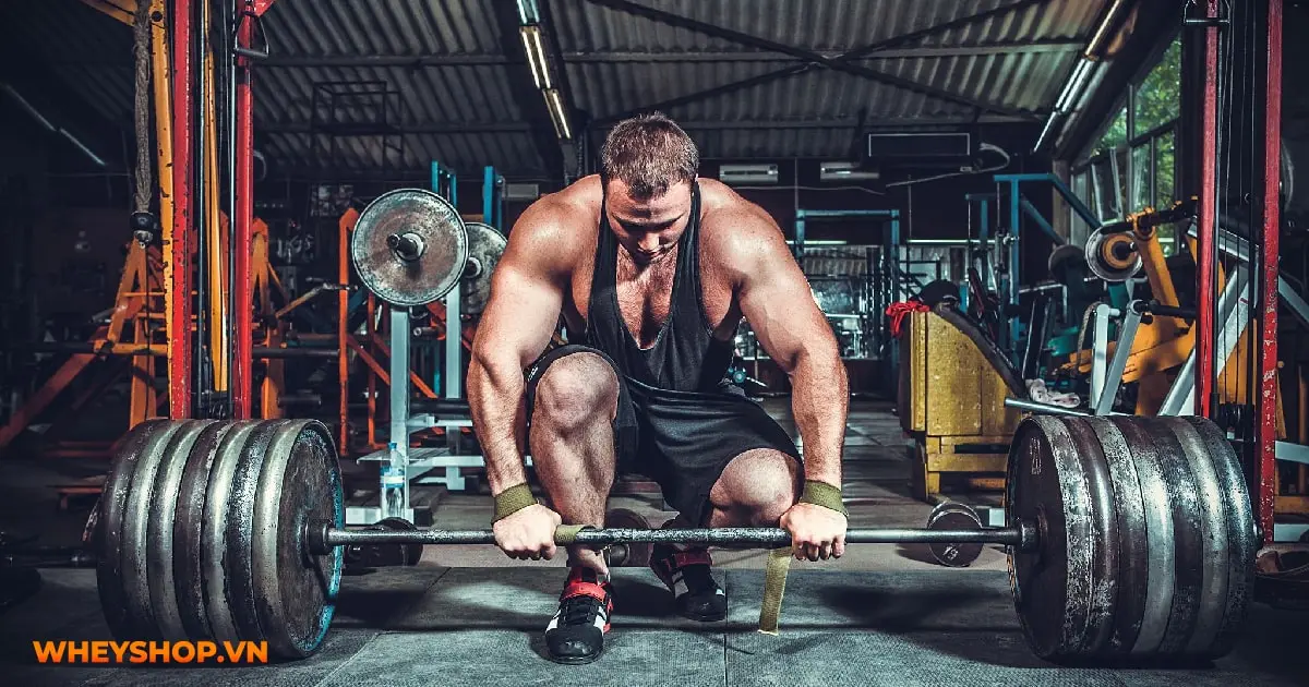 tim-hieu-ve-the-hinh-cho-nguoi-moi-bat-dau-02-min