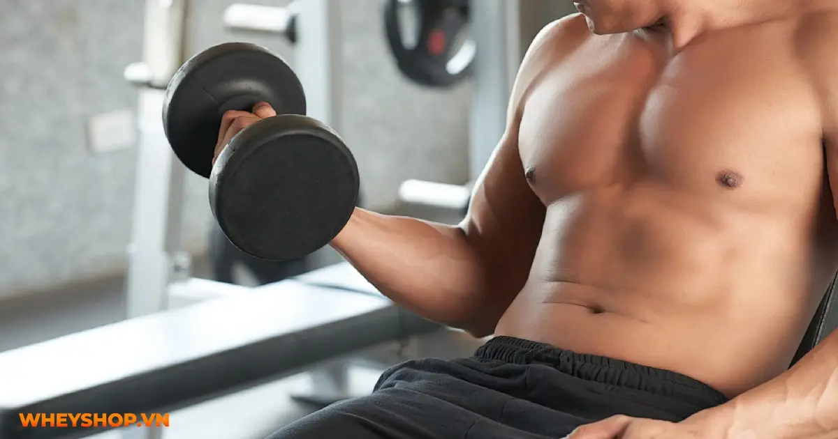 tim-hieu-ve-the-hinh-cho-nguoi-moi-bat-dau-02-min