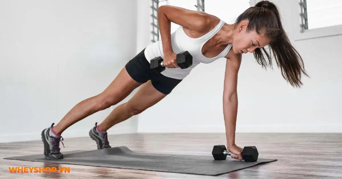 tim-hieu-ve-the-hinh-cho-nguoi-moi-bat-dau-02-min