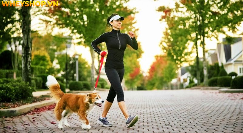 Đi bộ được coi là hình thức tập thể dục đơn giản nhưng mang lại nhiều lợi ích, nhưng bạn có biết tốc độ đi bộ trung bình của một người nên là bao nhiêu thì...