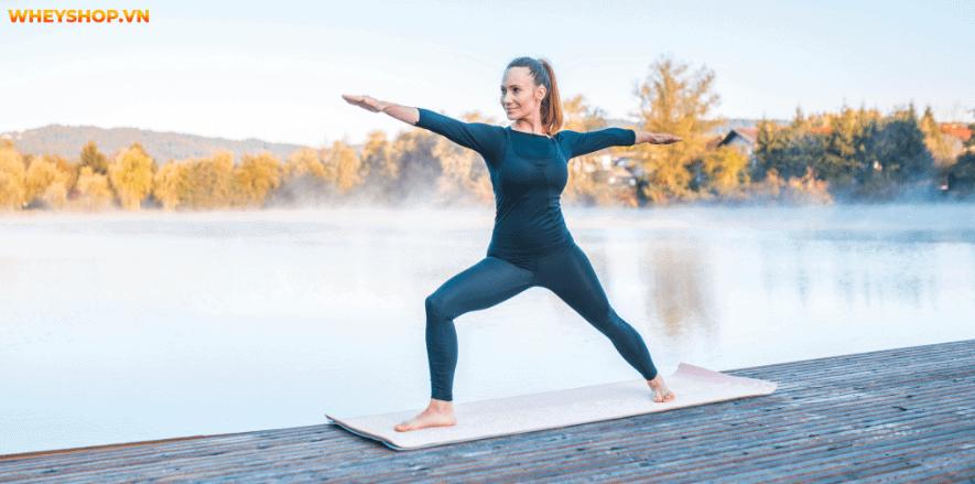 Tăng cân là vấn đề cần kiểm soát chặt chẽ, ngược lại nhiều người mong muốn tăng cân để cải thiện thân hình gầy gò. WheyShop giới thiệu bài tập yoga tăng cân...