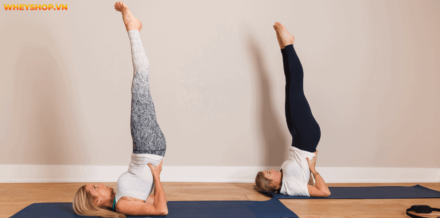 Tăng cân là vấn đề cần kiểm soát chặt chẽ, ngược lại nhiều người mong muốn tăng cân để cải thiện thân hình gầy gò. WheyShop giới thiệu bài tập yoga tăng cân...