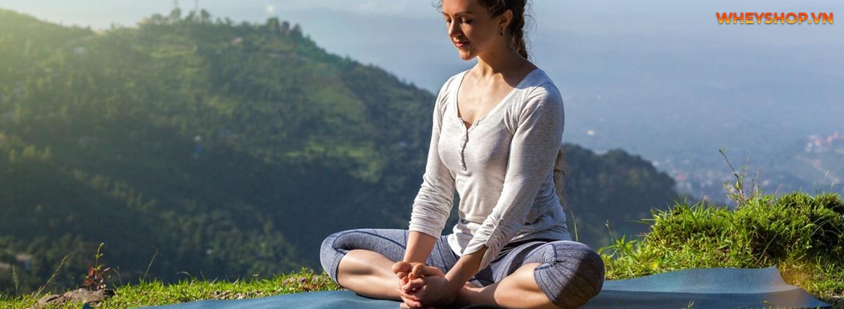 Bài tập thể dục Yoga tốt cho tử cung được rất nhiều các chị em phụ nữ quan tâm. Chị em hãy cùng tham khảo và thực hiện đúng kỹ thuật các bài tập này nhé!