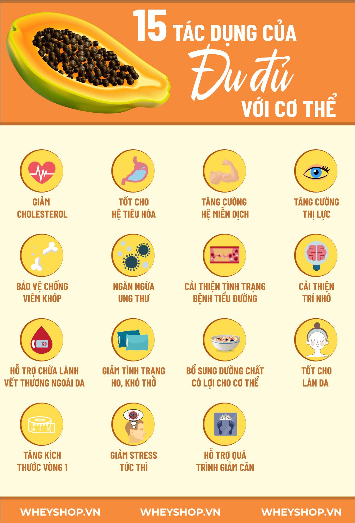 Đu đủ là một loại trái cây quen thuộc, tuy nhiên bạn đã hiểu rõ về lợi ích của đu đủ với sức khỏe chưa? Cùng WheyShop tìm hiểu 15 lợi ích...