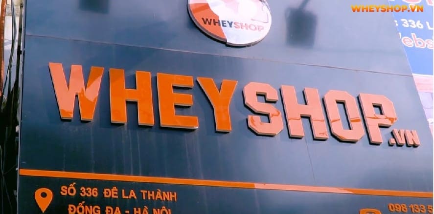 Bột protein còn được chiết xuất từ nguồn gốc thực vật, có hiệu quả tương đương với Whey động vật. Bài viết này WheyShop gợi ý 3 bột protein thực vật tăng cơ...