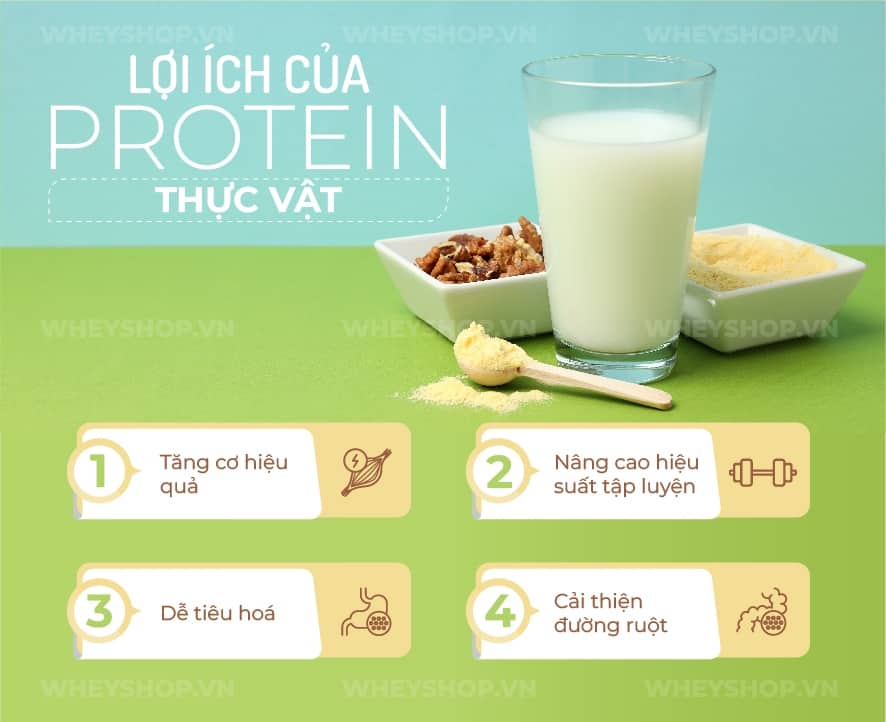 tong-hop-3-bot-protein-thuc-vat-tang-co-hieu-qua
