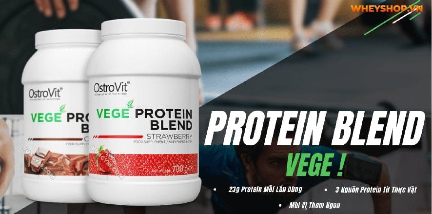 Bột protein còn được chiết xuất từ nguồn gốc thực vật, có hiệu quả tương đương với Whey động vật. Bài viết này WheyShop gợi ý 3 bột protein thực vật tăng cơ...