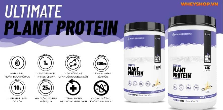 Bột protein còn được chiết xuất từ nguồn gốc thực vật, có hiệu quả tương đương với Whey động vật. Bài viết này WheyShop gợi ý 3 bột protein thực vật tăng cơ...