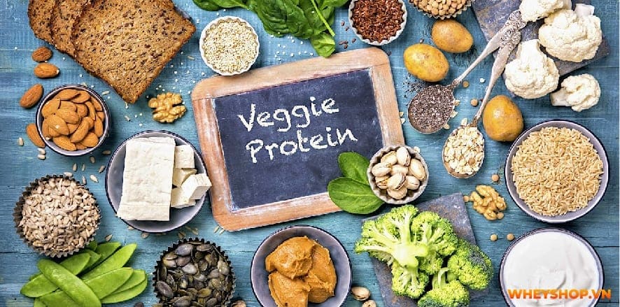 Bột protein còn được chiết xuất từ nguồn gốc thực vật, có hiệu quả tương đương với Whey động vật. Bài viết này WheyShop gợi ý 3 bột protein thực vật tăng cơ...