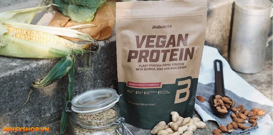 Bột protein còn được chiết xuất từ nguồn gốc thực vật, có hiệu quả tương đương với Whey động vật. Bài viết này WheyShop gợi ý 3 bột protein thực vật tăng cơ...